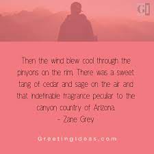 Arizonans have quite a streak of humor to them. Amazing Arizona Quotes And Proverbs Arizona Quotes Famous Quotes Sunset Quotes