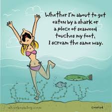 Pin By Jennifer Nunn On All And Sundry Funny Quotes Make Me Laugh Just For Laughs