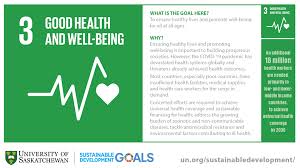The disruption caused by the pandemic has now halted or even reversed progress made. Sdg Spotlight Goal 3 Usask Health Sciences University Of Saskatchewan