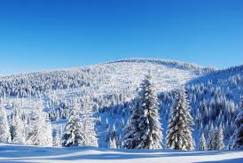 Snowy Mountain Forest Winter Landscape Snowy Snowy Mountains