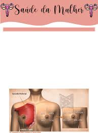 Grátis: Módulo de Saúde da Mulher E a vida continua - Material Claro e  Objetivo em PDF para Estudo Rápido
