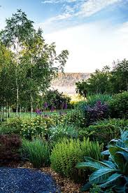 Woodland Garden Design In Pictures Woodland Garden Garden Border Plants Landscaping Costs