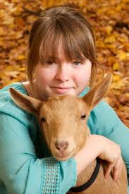 Hobbycroft Nigerian Dwarf Dairy Goats