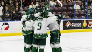 Everett Silvertips defeat Prince Albert Raiders in five games to capture first WHL title