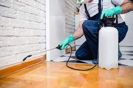 Top 10 Most Common Gold Coast Pests & How to Keep Them Away