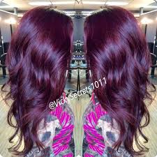 Clip In Hair Extensions Welcome To Our Shop Plum Hair Gorgeous Hair Hair Styles