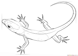 How To Draw A Realistic Lizard Step By Step Drawing Tutorials Drawings Drawing Tutorial Doll Drawing