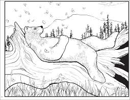 Download and print this adult coloring pages animals bear 2 for the cost of nothing, only at everfreecoloring.com. Robert Bissell S Rabbits Bears Colouring Book Adult Colouring Book By Robert Bissell 9780764964763 Booktopia