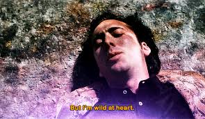 Layla — Frank Iero at #MCRBONN2 🖤 📸 by sbattileuova