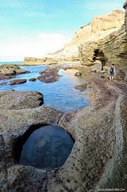 Amazing Sea Life At Cabrillo National Monument Tide Pools