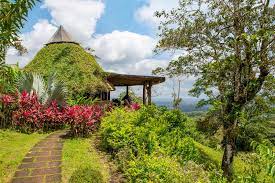 Stay at any of these places and bounce out of bed with plenty of energy to discover la paz waterfall gardens and other big attractions nearby. For My First International Trip Since Covid 19 I Went To Costa Rica