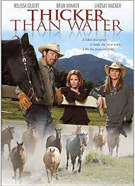 Amazon.com: Thicker Than Water : Melissa Gilbert, Lindsay Wagner, David S.  Cass Sr.: Movies & TV