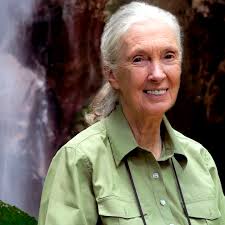 Noticias sobre estilo de vida sostenible