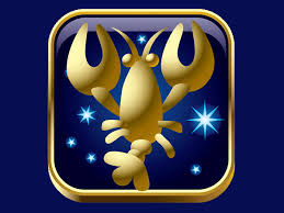 Those who are born from approximately june 21 to july 22 (depending upon the year) are born under cancer. Cancer Monthly Horoscope For June 2021 à´•à´° à´• à´•à´Ÿà´• à´ª à´£à´° à´¤ 1 4 à´ª à´¯ à´†à´¯ à´² à´¯ Malayalam Oneindia