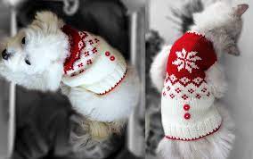 More stylish knit patterns are added weekly and this free knitting pattern collection for sweaters just keeps on growing, so make sure that you. 15 Dog Sweater And Coat Free Knitting Patterns The Funky Stitch