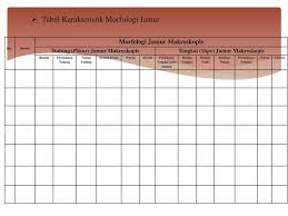Check spelling or type a new query. Inventarisasi Jenis Jenis Jamur Makroskopis Di Kawasan Cabang Panti Taman Nasional Gunung Palung Kalimantan Barat Oleh Ogi Prayogo H Ppt Download