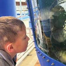 Bay HealthStyles 2024