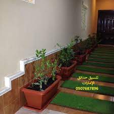 شركة تنسيق حدائق فى العين 0507687896 ابوظبي الامارت عشب صناعي تنسيق سطح حديقة منزلية مشتل انجيلة ورد plants instagram around the worlds