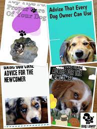Unlock The Secrets Of Being A Great Dog Owner Dogs Dog Owners Pet Care Dogs