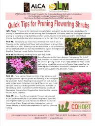 Garden shrubs flowering shrubs trees and shrubs summer garden lawn and garden kalmia latifolia moon garden gardening supplies flowers. Facebook