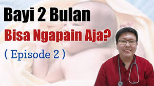 Perlu diketahui, awal janin 2 bulan kehamilan berbahaya bagi wanita dengan hiperandrogenisme (gangguan endokrin) karena dalam hal ini keseimbangan hormonal terganggu dan tidak menguntungkan untuk kehamilan. Pertumbuhan Dan Perkembangan Bayi 2 Bulan Eps 2 Ensiklopedia Dokter Youtube