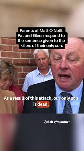 The killers of a young man in Carrigaline at Christmas 2022 were jailed