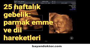 25 hafta gebelik hafta hafta hamilelik hamilelik doktorlar hafiz