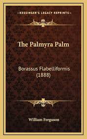 Image result for Priva flabelliformis