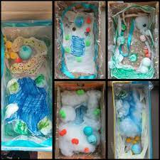 Use the following interactive animation of plant and animal cells to learn about their respective organelles. Senora Stroud On Twitter Using Recycled Materials To Make 3 D Plant Cell Models Don T You Love The Finished Products Stem Bcpsoutdoorsci Https T Co Ie3do9cyfg