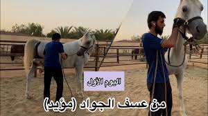 بضم أوله، وسكون ثانيه ثم فاء، و آخره نون، فعلان من عسفت المفازة و هو يعسفها و هو قطعها بلا هدايه ولا قصد، وكذلك كل أمر يركب بغير رويه، قال. Ø§Ù„ÙŠÙˆÙ… Ø§Ù„Ø£ÙˆÙ„ Ù…Ù† Ø¹Ø³Ù Ø§Ù„Ø¬ÙˆØ§Ø¯ Ù…Ø¤ÙŠØ¯ Youtube