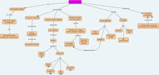 Resultado de imagen para ejemplos cmaptools
