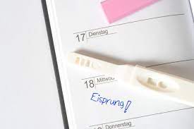 Eisprung Anzeichen So Erkennst Du Deine Fruchtbaren Tage