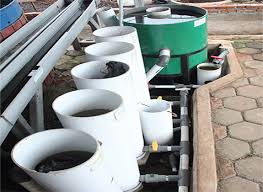 Efisiensi Budidaya Dengan Sistem Ras Akua Tekno Trobos Aqua Com