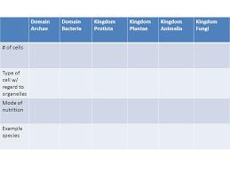 Domain Archae Domain Bacteria Kingdom Protista Kingdom Plantae Kingdom Animalia Kingdom Fungi Of Cells Type Of Cell W Regard To Organelles Mode Of Nutrition Ppt Download