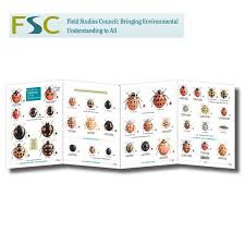 Fsc Fold Out Chart Ladybirds