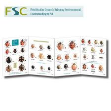 fsc fold out chart ladybirds