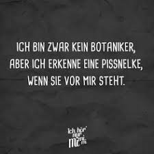 Die 300 Besten Bilder Zu Lustige Spruche Und Zitate In 2020 Lustige Spruche Spruche Zitate
