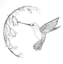 Maybe you would like to learn more about one of these? Hummingbird Tattoo Love That It Also Has Bluebells My Favorite Bird Drawings Hummingbird Drawing Drawings