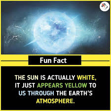 Submitted 13 hours ago by sensevieria. Fun Fact Amazing Science Facts Science Facts Cool Science Facts