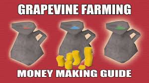Runescape 3 Farming Money Making Guide Grapevine Hops Patches God Wines Youtube
