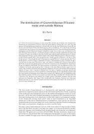 Image result for Grammitis cryptophlebia