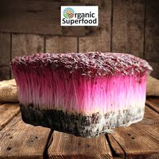 Amaranth Microgreens 150gms In 2020 Microgreens Organic Superfoods Amaranth