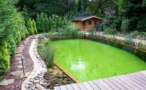 Schwimmteiche Von Brakelmann Garten Und Landschaftsbau Mit Bildern Naturschwimmbecken Schwimmteich Naturschwimmbader