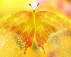 Premium selection of designer fabrics & wallpapers. Yellow Wallpaper Hd 13 Jpg