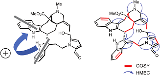 Image result for Voacanga pachyceras