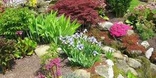 We did not find results for: Rock Garden Ideas To Build Your Own In 2018 Step By Step Guide To Landscaping With Rocks