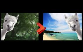 2020年11月 動画背景を変える方法動画の背景を変える方法top3