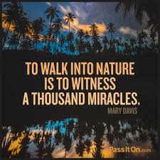 Maybe you would like to learn more about one of these? If You Want To Go Fast Go Alone If You Want To Go Far Go Together African Proverb Passiton Com