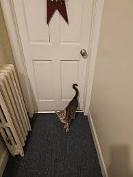 Olive says, "This door ain't gonna open itself, dad!"