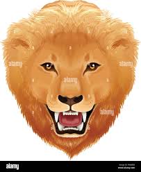 Lions lions Stock Vector Images
